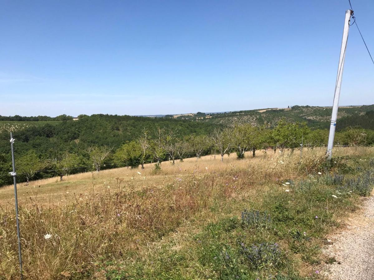Natuur En Stilte In Een Bijzondere Omgeving Thézac Exterior foto